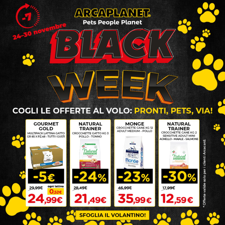BLACK WEEK ARCAPLANET